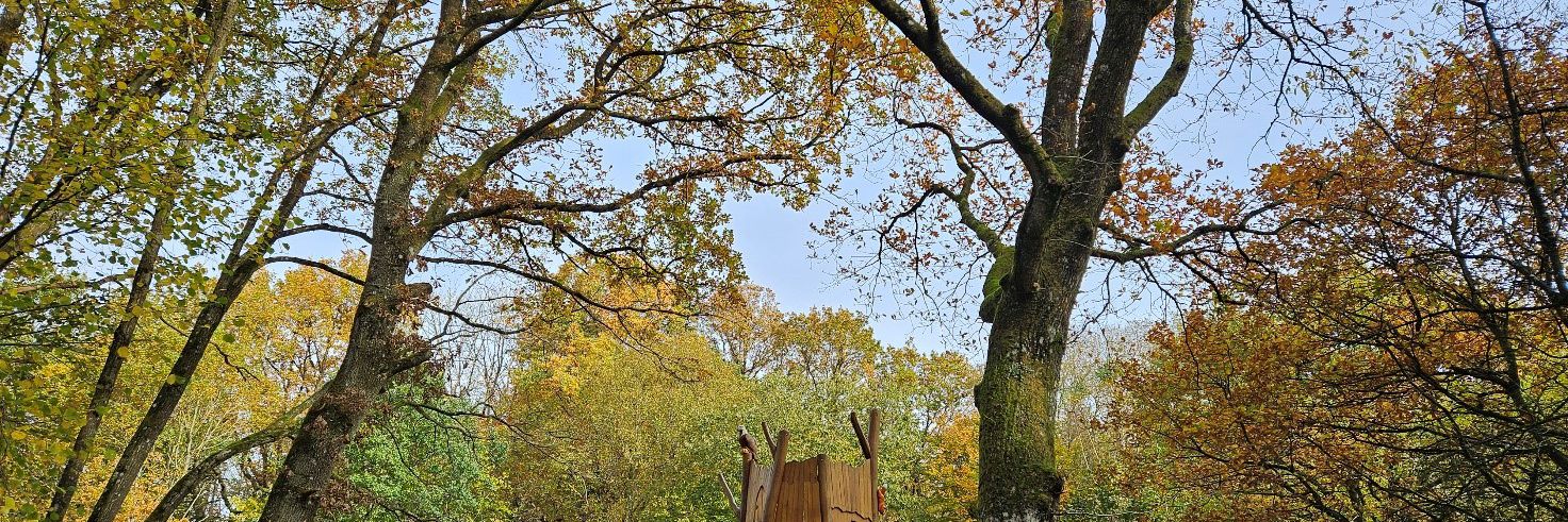 Stort legetårn i skov