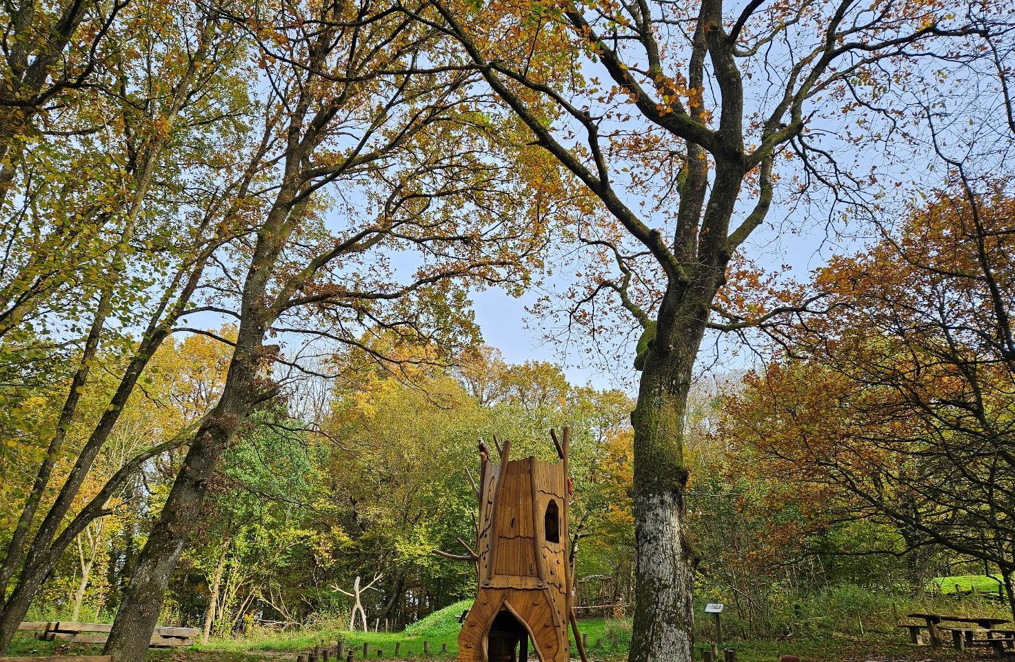 Stort legetårn i skov